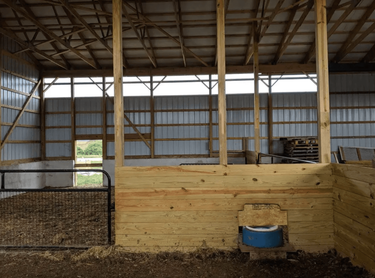 Interior of a post-frame barn with wooden support posts, metal siding, exposed roof framing, and livestock stalls.