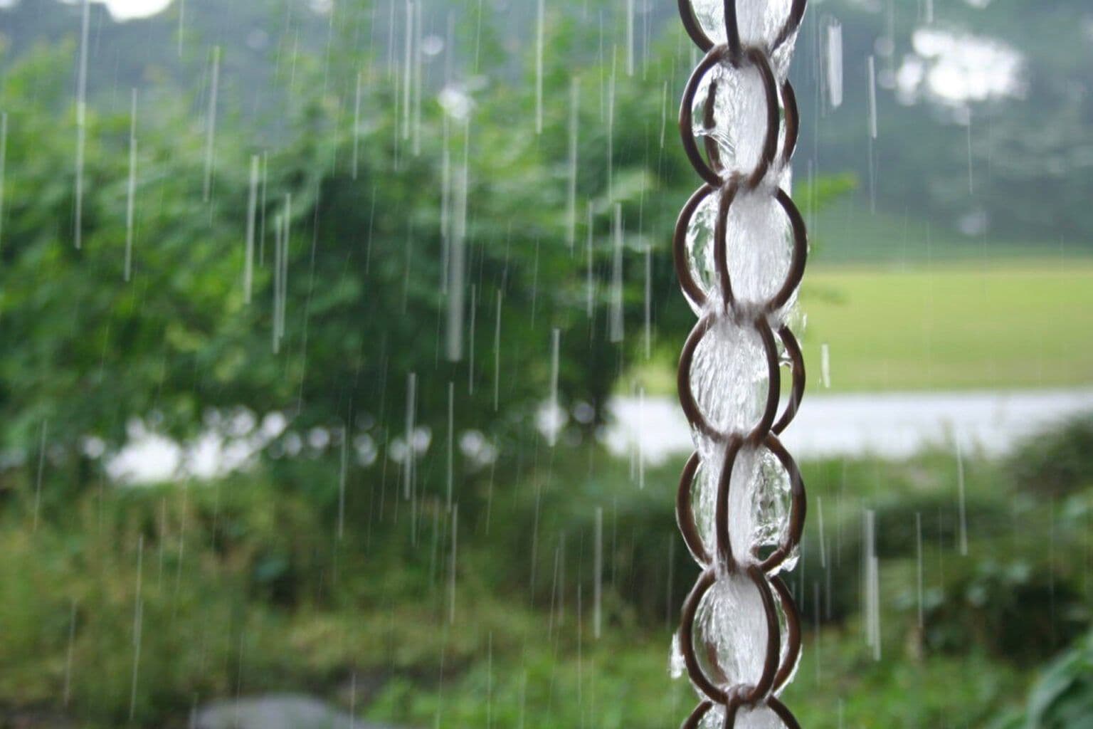 Water runs down a rain chain.